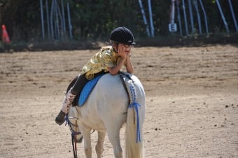 Image of a child on a horse using animal assisted therapy services, one of the available special needs services in NJ