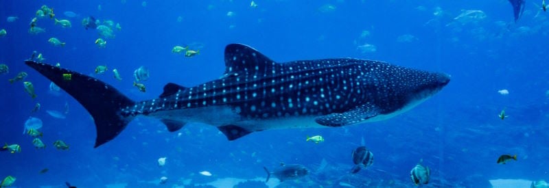 8 Fun Places Students Can Visit In The Summer: NJ Edition