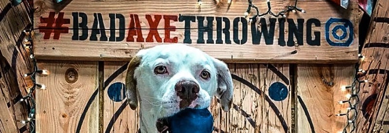 Bad Axe Throwing