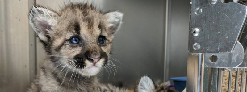 Bergen County Zoological Park