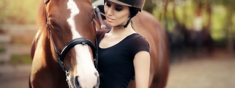 Bergen Equestrian Center