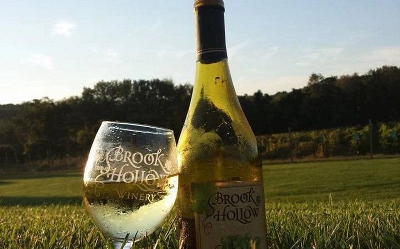 Image of a glass and bottle of brook hollow wine