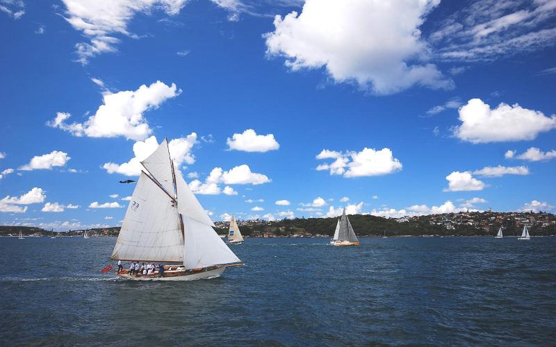 herwinnen Oude tijden output Calypso Sailing Adventures, Sailing Charter Boats in NJ, in Jersey City, Hudson County, New Jersey herwinnen Oude tijden output Calypso Sailing Adventures, Sailing Charter Boats in NJ, in Jersey City, Hudson County, New Jersey