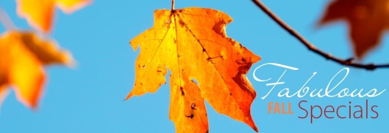 The Cape May Day Spa