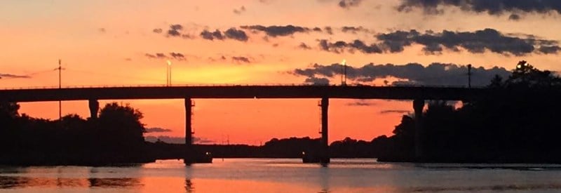 Cape May Whale Watcher