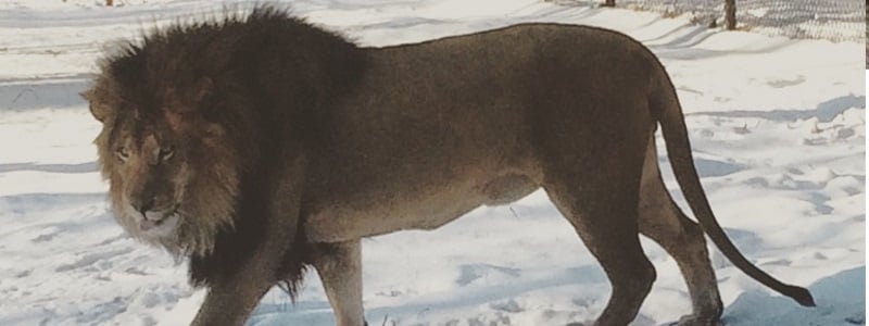 Cape May County Park & Zoo