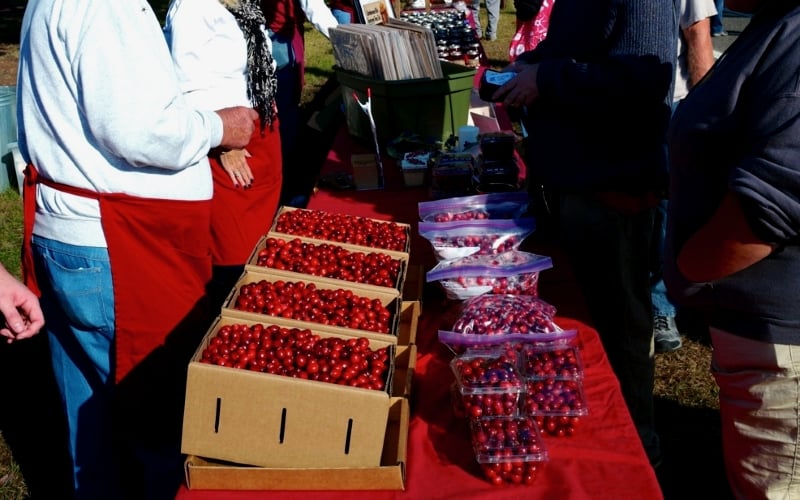 Cranberry Festival 2024 Chatsworth Nj Tickets Mindy Sybille