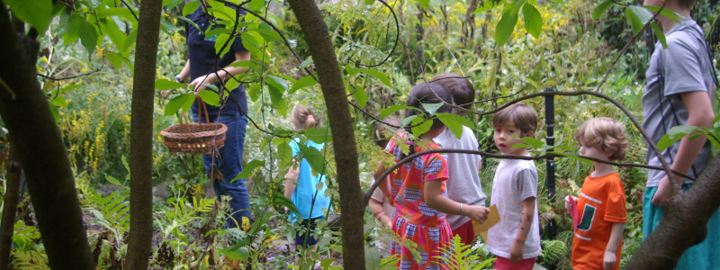 Cora Hartshorn Arboretum