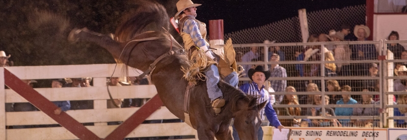 Cowtown Rodeo