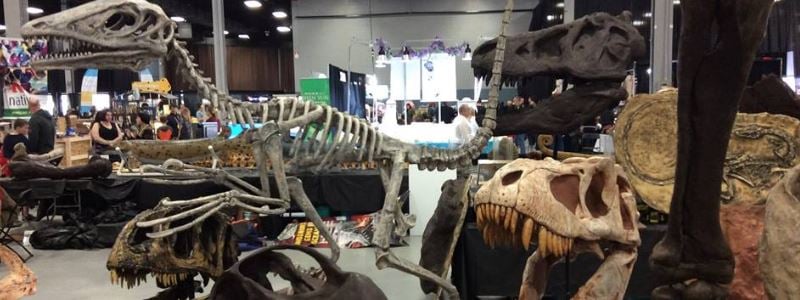 DINOSAURS ROCK - Fossil & Mineral Events & Cool Products