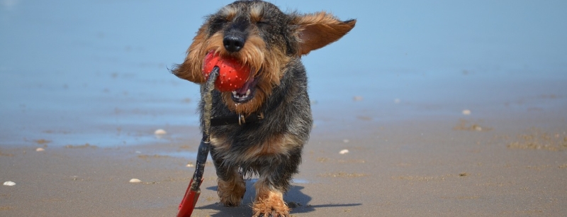 Malibu Beach Wildlife Management Area