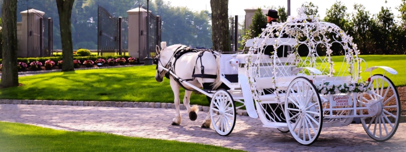 Dream Horse Carriage