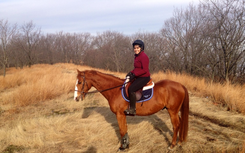 Elite Equine Group Horseback Riding Lessons Northern NJ