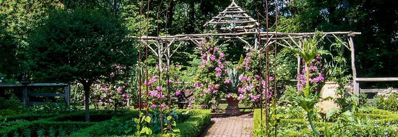 Frelinghuysen Arboretum