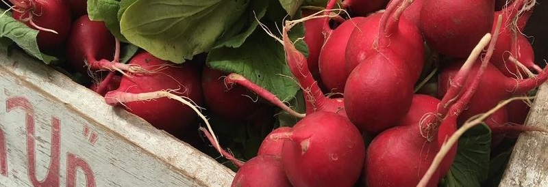 Fresh and Fancy Farms