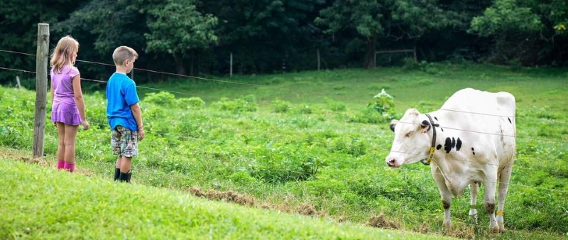 Fulper Family Farmstead