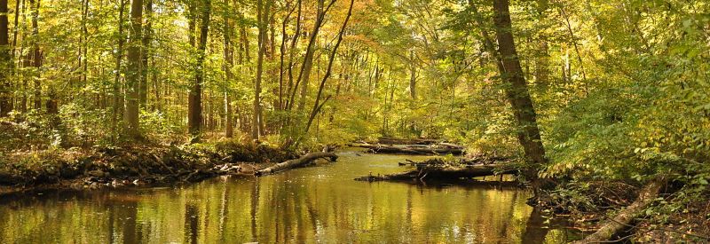 Hacklebarney State Park