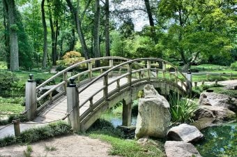 A bridge cossing a stream in a lovely wooded area in NJ