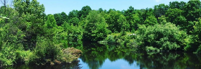 Somerset County Park Commission Hiking