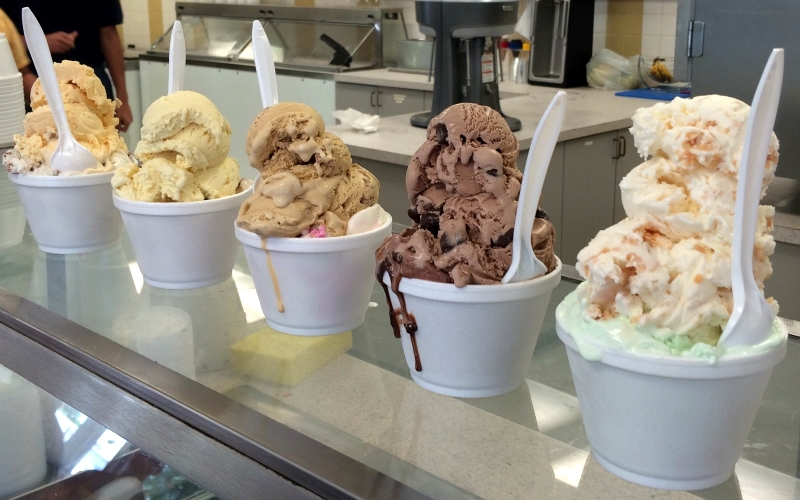 Hoffman's Ice Cream & Yogurt Best Shops Central Jersey