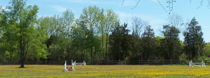 Hunter Brook Horse Farm