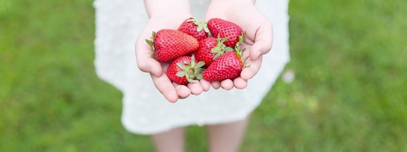 Johnson's Locust Hall Farm