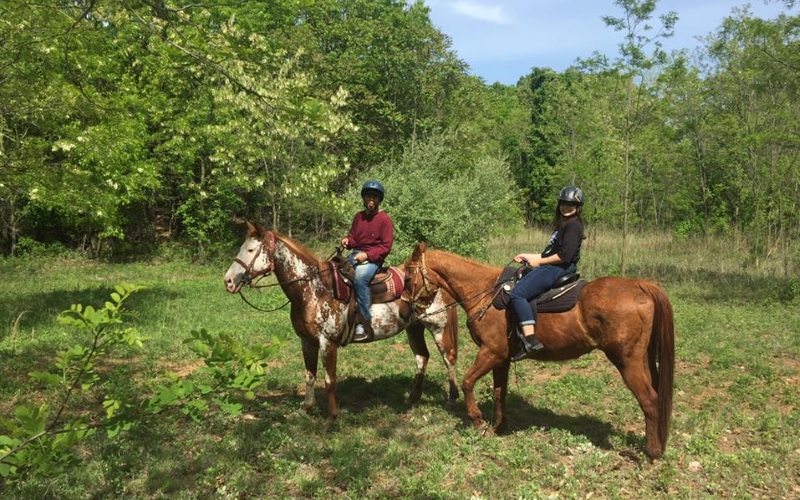 Legacy Stables Horseback Riding Lessons Central NJ