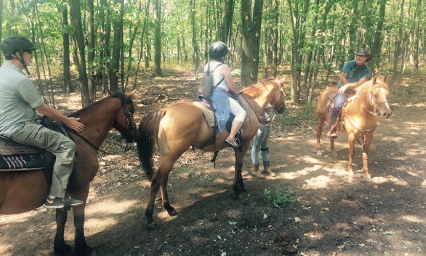 Legacy Riding Stables Horse Party Places for Children in NJ Middlesex County