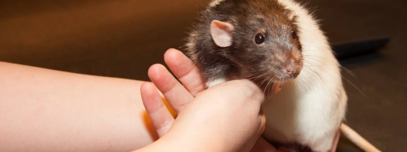 Liberty Science Center