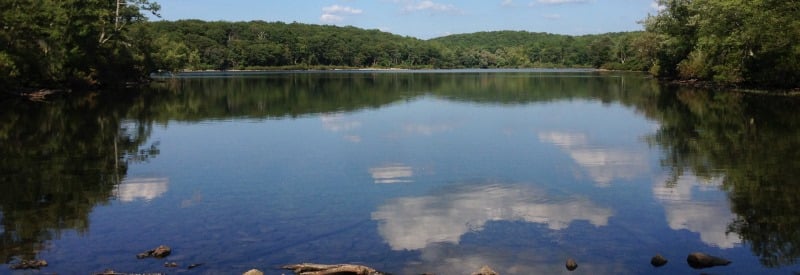 Lord Stirling Stable