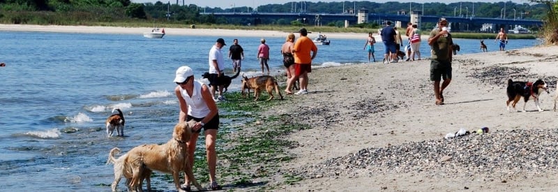 Manasquan Inlet Beach