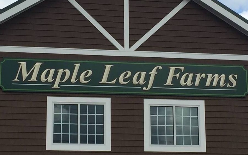 Maple Leaf Farms Halloween Attractions In Nj In Manalapan Monmouth County New Jersey