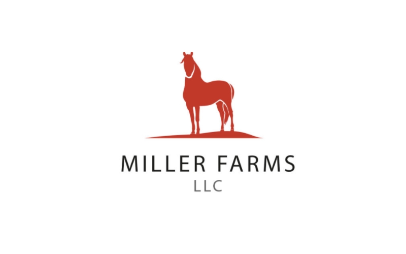 Miller Farms LLC Halloween Attractions in Winslow NJ