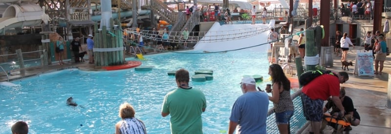 Morey's Pier Activity Pool