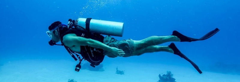 Nick Caruso Enterprises, Inc. 