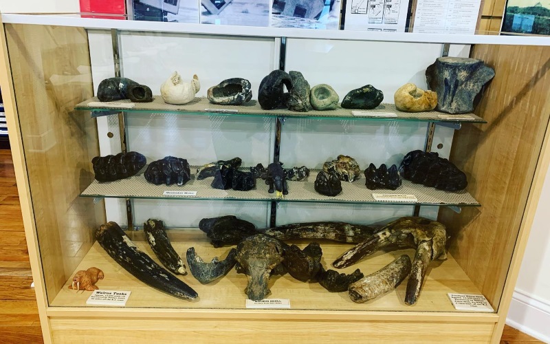 Image of a exhibit of maritime artifacts
