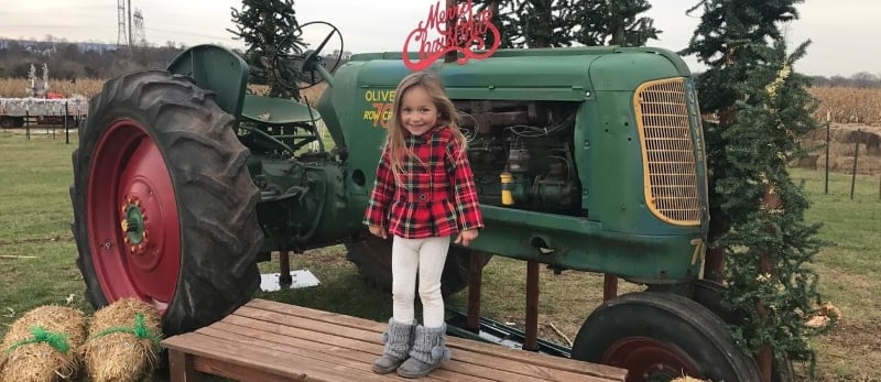 Norz Hill and Market