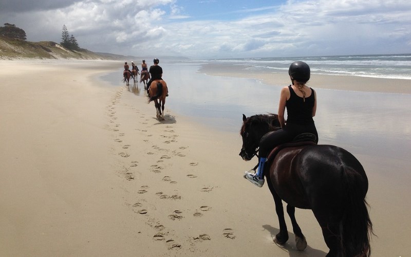 Okey Doke Ranch horseback trail rides on Wildwood NJ beach