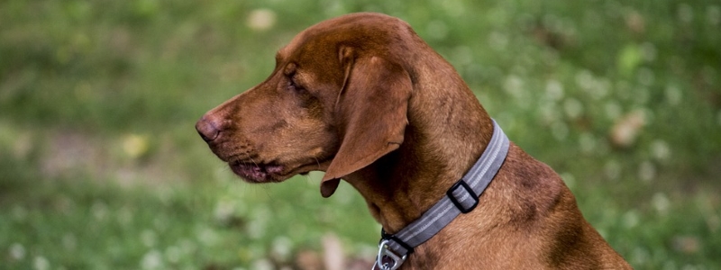 Panther Lake Camping Resort