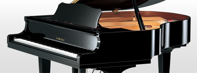 Beauty and the Beast LLC