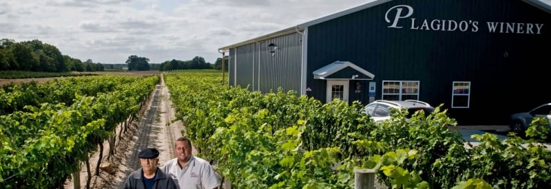 Plagido's Winery