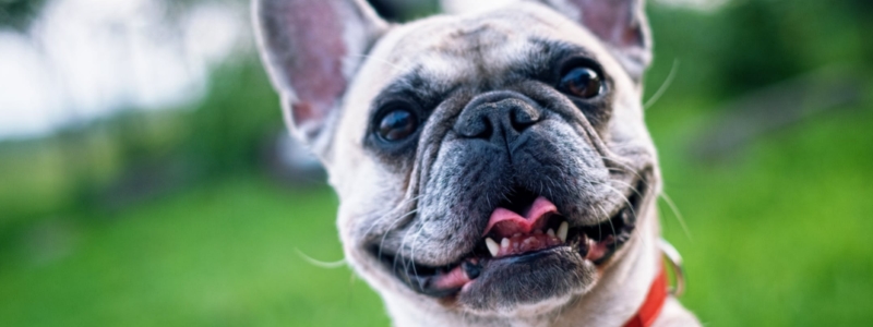 Pleasant Acres Farm Campground