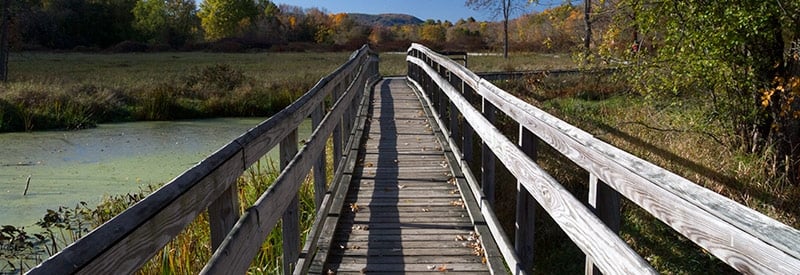 Pochuck Quagmire Bridge and Boardwalk