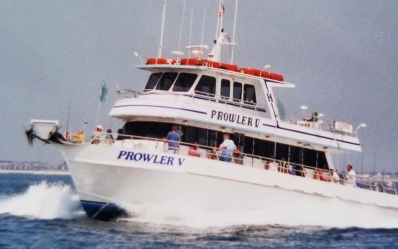 Image of Prowler 5