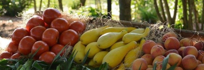 Johnson's Corner Farm 