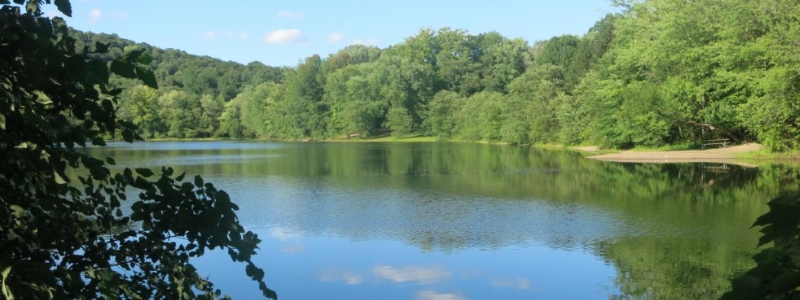 Ramapo Reservation Loop