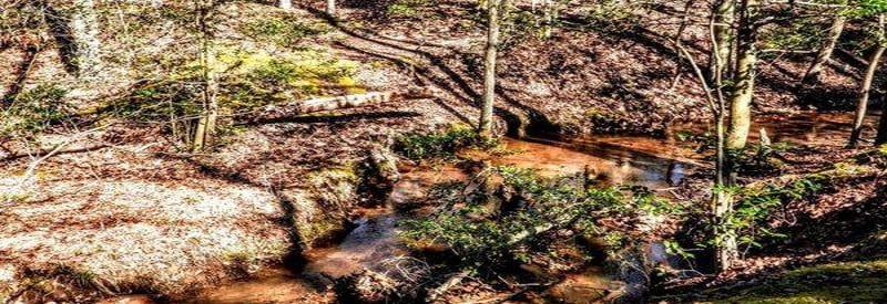 Rancocas Nature Center