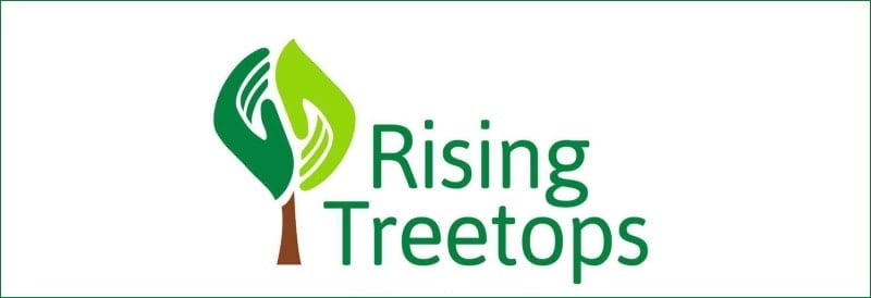 Rising Treetops 