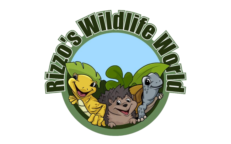 Rizzos Wildlife World Childrens Museum Roxbury NJ