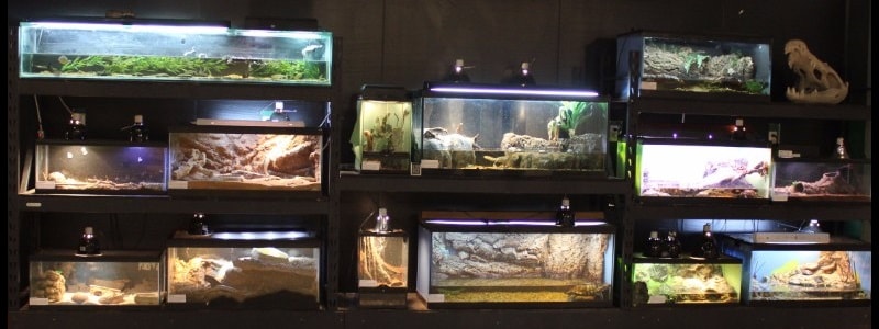 Rizzo's Wildlife World